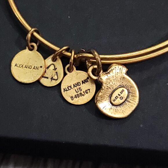 Alex and Ani Apple of Abundance Charm Bracelet - Picture 10 of 11